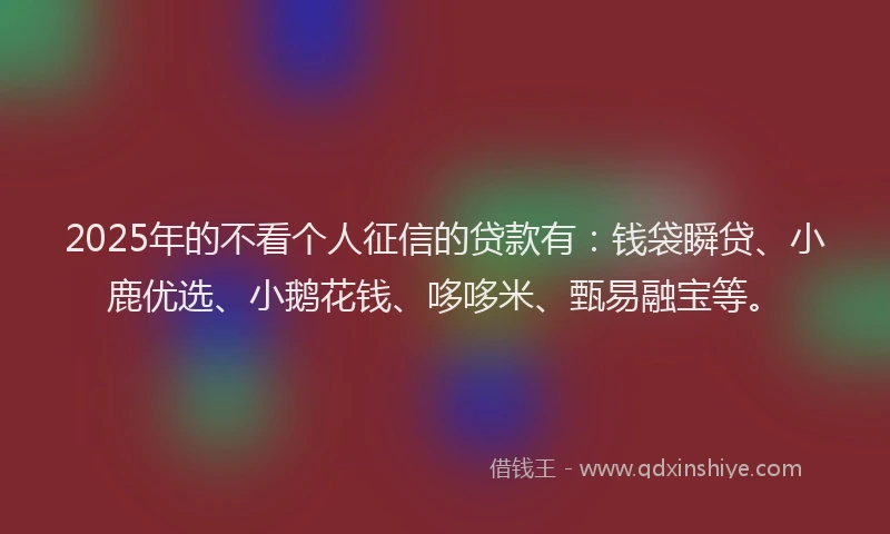 2025年的不看个人征信的贷款有：钱袋瞬贷、小鹿优选、小鹅花钱、哆哆米、甄易融宝等。