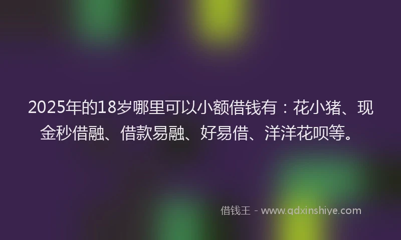 2025年的18岁哪里可以小额借钱有：花小猪、现金秒借融、借款易融、好易借、洋洋花呗等。