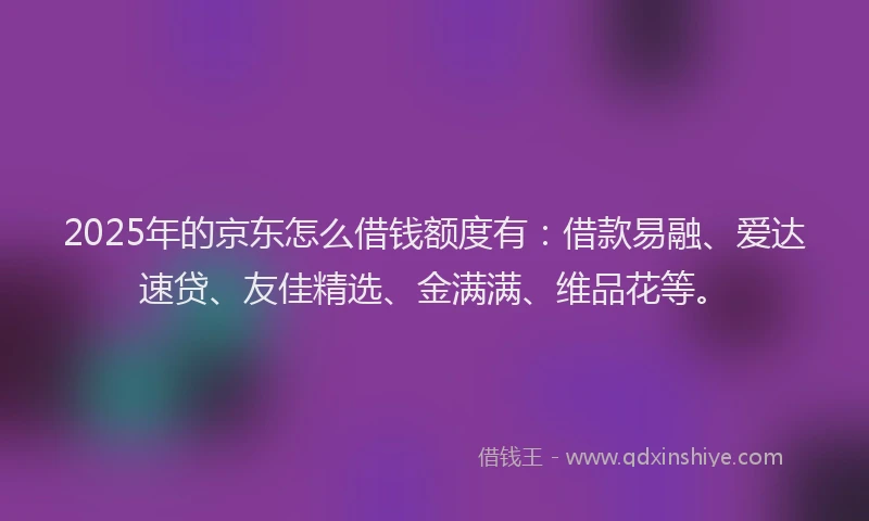 2025年的京东怎么借钱额度有：借款易融、爱达速贷、友佳精选、金满满、维品花等。