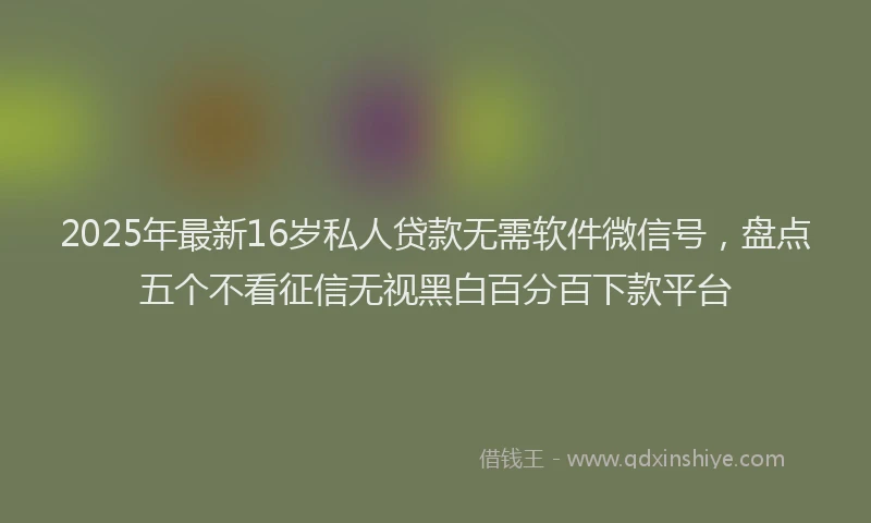 2025年最新16岁私人贷款无需软件微信号，盘点五个不看征信无视黑白百分百下款平台