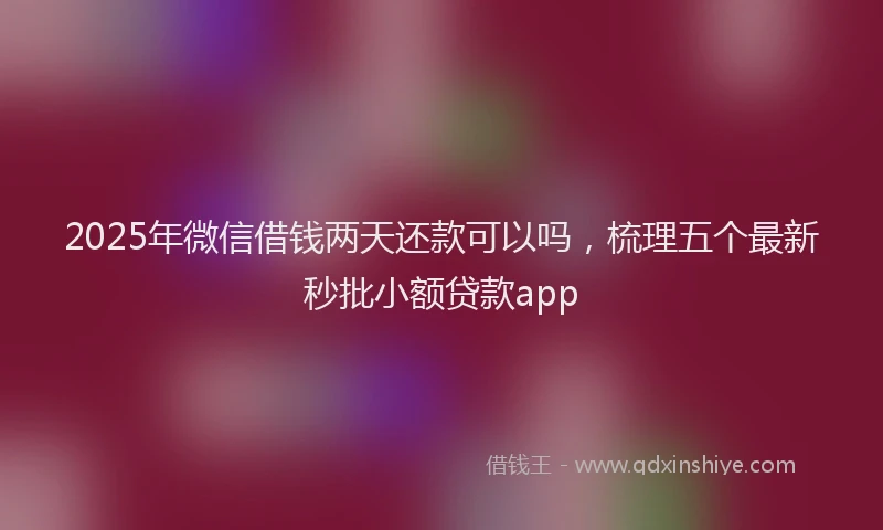 2025年微信借钱两天还款可以吗，梳理五个最新秒批小额贷款app