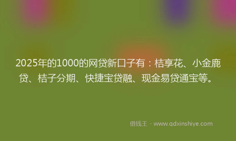 2025年的1000的网贷新口子有：桔享花、小金鹿贷、桔子分期、快捷宝贷融、现金易贷通宝等。