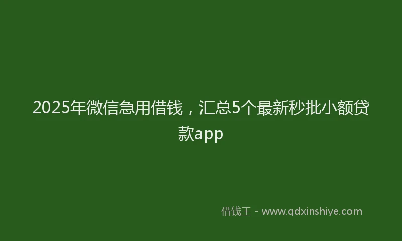 2025年微信急用借钱，汇总5个最新秒批小额贷款app