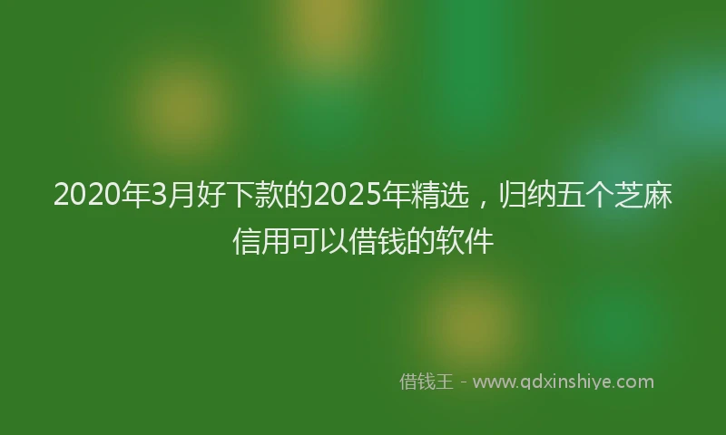 2020年3月好下款的2025年精选，归纳五个芝麻信用可以借钱的软件