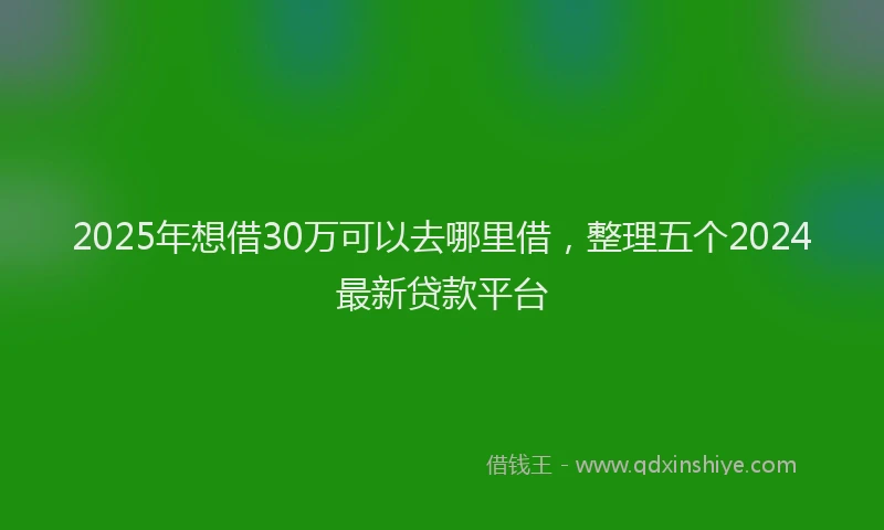 2025年想借30万可以去哪里借，整理五个2024最新贷款平台