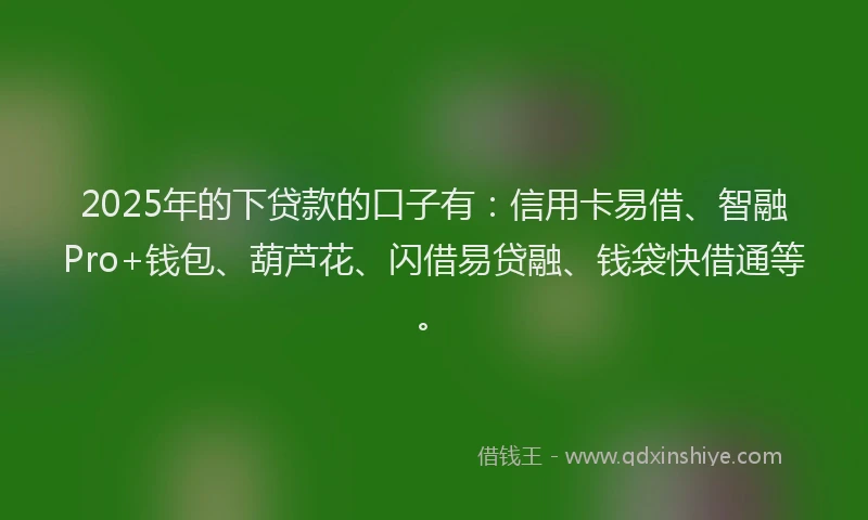 2025年的下贷款的口子有：信用卡易借、智融Pro+钱包、葫芦花、闪借易贷融、钱袋快借通等。
