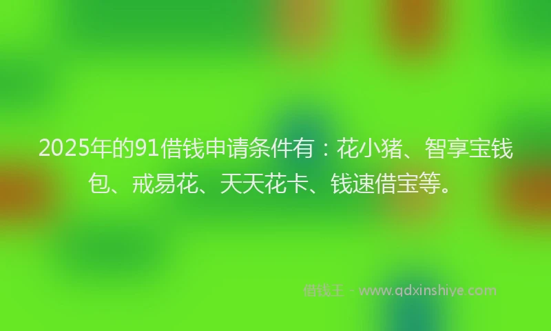2025年的91借钱申请条件有：花小猪、智享宝钱包、戒易花、天天花卡、钱速借宝等。