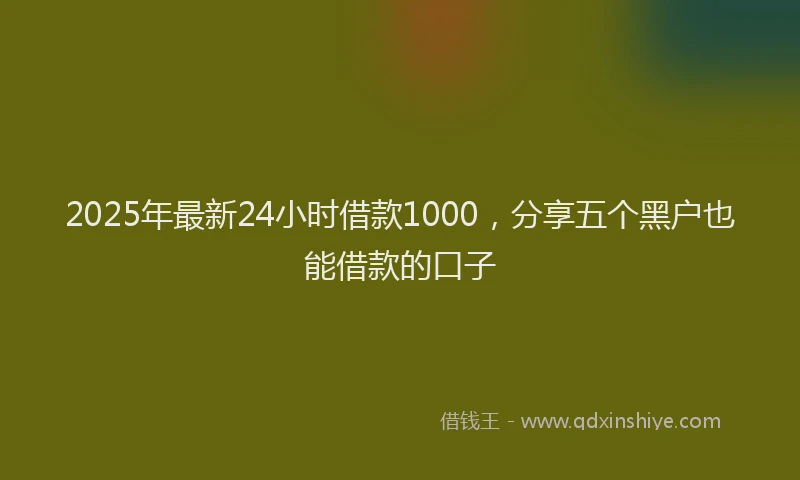 2025年最新24小时借款1000，分享五个黑户也能借款的口子