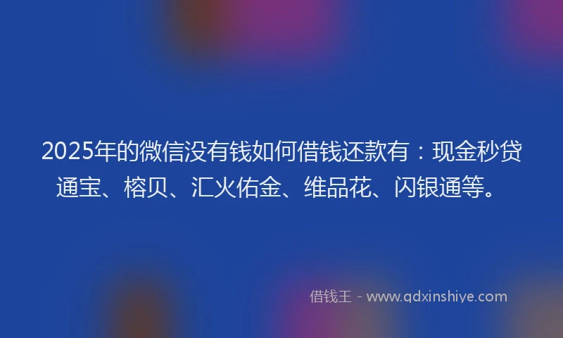 2025年的微信没有钱如何借钱还款有：现金秒贷通宝、榕贝、汇火佑金、维品花、闪银通等。