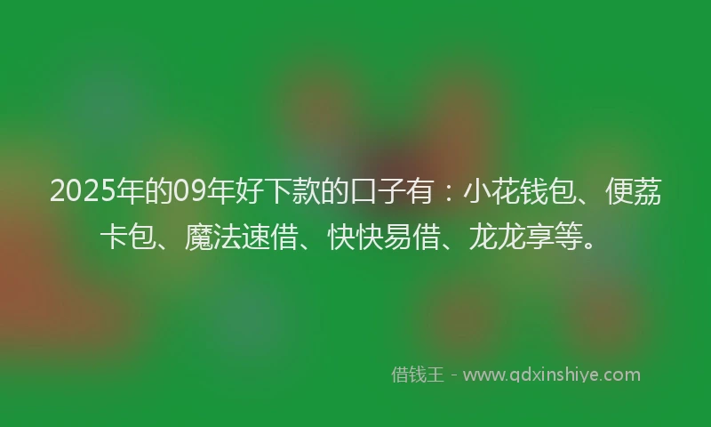 2025年的09年好下款的口子有：小花钱包、便荔卡包、魔法速借、快快易借、龙龙享等。