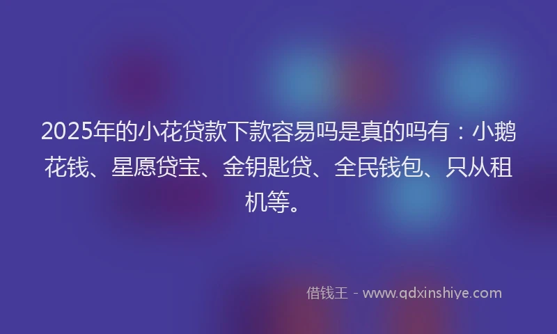 2025年的小花贷款下款容易吗是真的吗有：小鹅花钱、星愿贷宝、金钥匙贷、全民钱包、只从租机等。