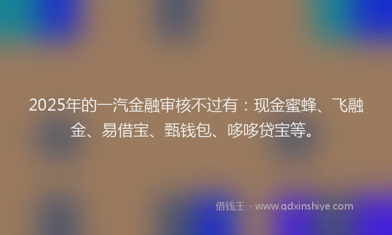 2025年的一汽金融审核不过有：现金蜜蜂、飞融金、易借宝、甄钱包、哆哆贷宝等。