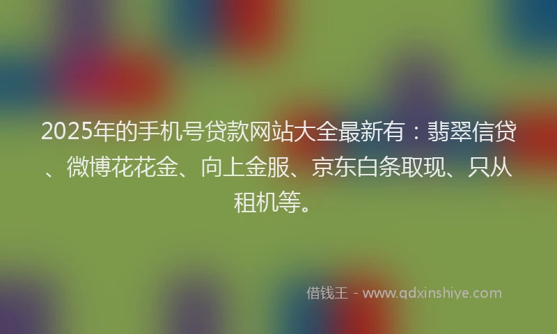 2025年的手机号贷款网站大全最新有：翡翠信贷、微博花花金、向上金服、京东白条取现、只从租机等。