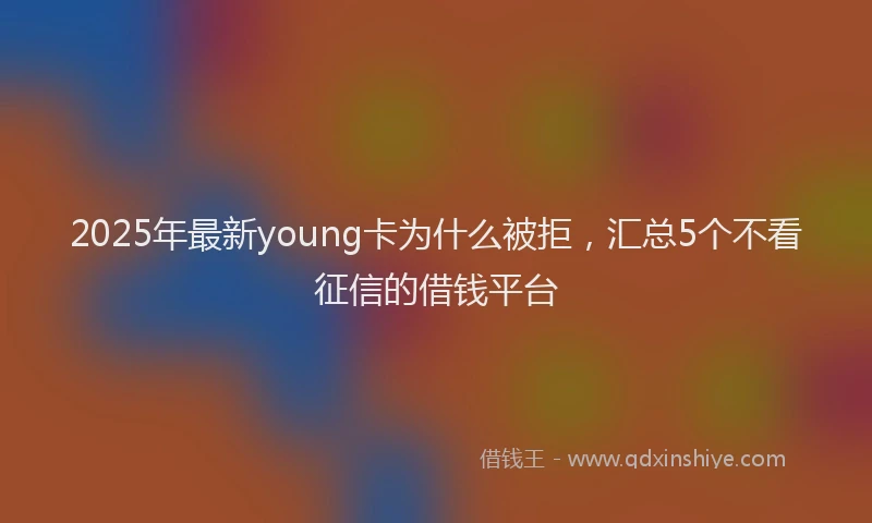 2025年最新young卡为什么被拒，汇总5个不看征信的借钱平台