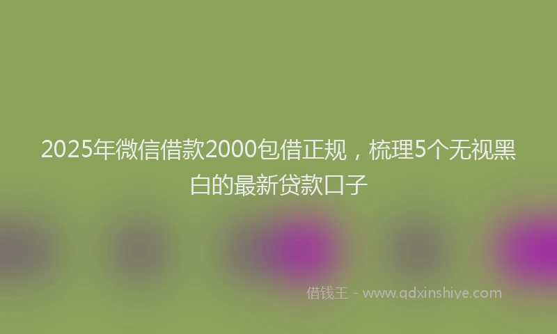 2025年微信借款2000包借正规，梳理5个无视黑白的最新贷款口子