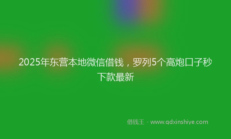 2025年东营本地微信借钱，罗列5个高炮口子秒下款最新