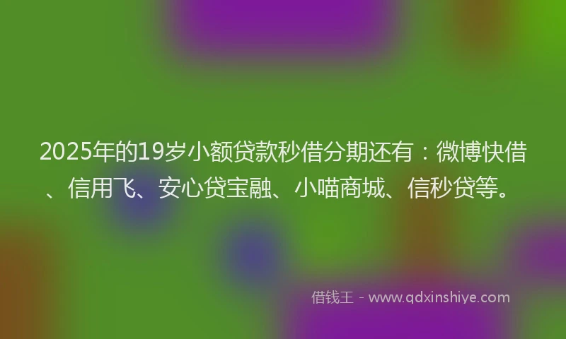 2025年的19岁小额贷款秒借分期还有：微博快借、信用飞、安心贷宝融、小喵商城、信秒贷等。