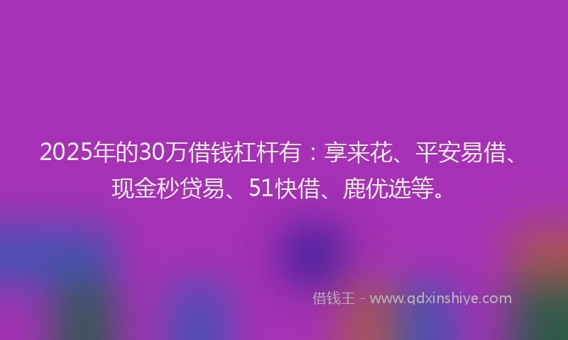 2025年的30万借钱杠杆有：享来花、平安易借、现金秒贷易、51快借、鹿优选等。
