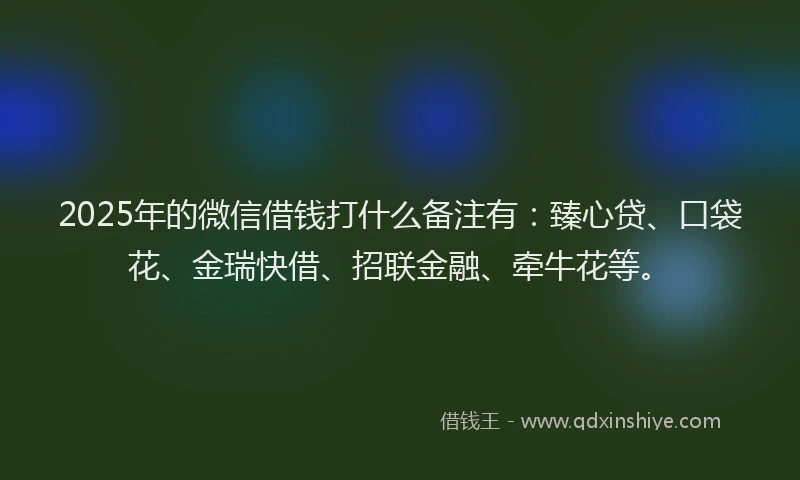 2025年的微信借钱打什么备注有：臻心贷、口袋花、金瑞快借、招联金融、牵牛花等。