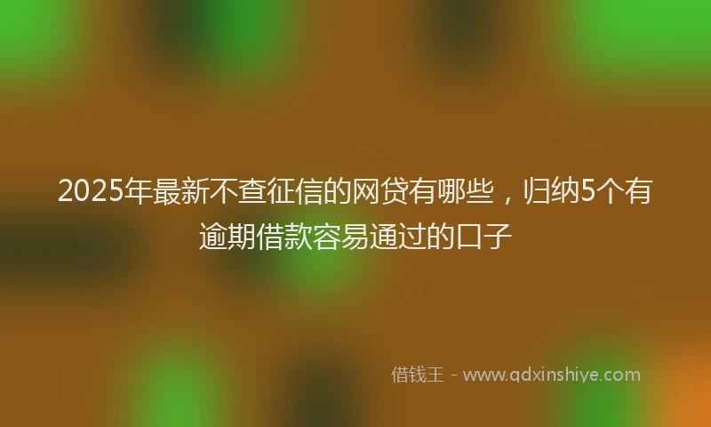 2025年最新不查征信的网贷有哪些，归纳5个有逾期借款容易通过的口子