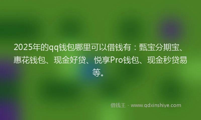 2025年的qq钱包哪里可以借钱有：甄宝分期宝、惠花钱包、现金好贷、悦享Pro钱包、现金秒贷易等。