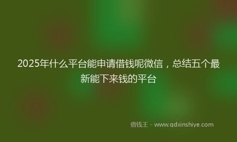 2025年什么平台能申请借钱呢微信，总结五个最新能下来钱的平台