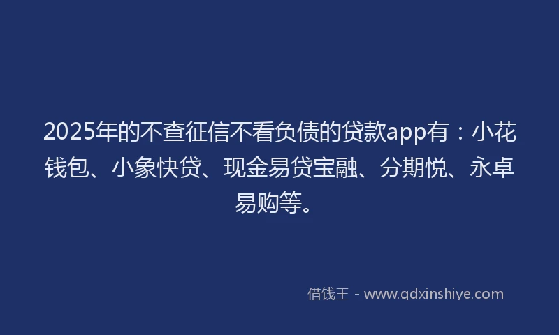 2025年的不查征信不看负债的贷款app有：小花钱包、小象快贷、现金易贷宝融、分期悦、永卓易购等。
