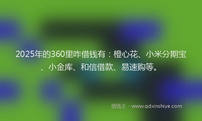 2025年的360里咋借钱有：橙心花、小米分期宝、小金库、和信借款、易速购等。