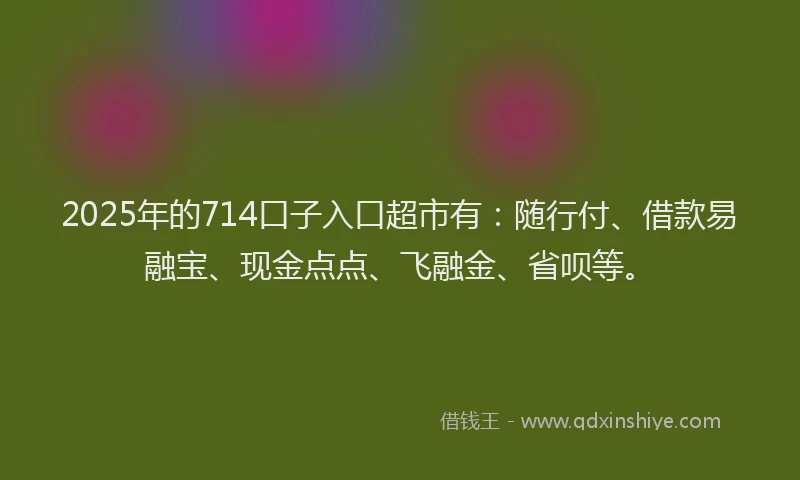 2025年的714口子入口超市有：随行付、借款易融宝、现金点点、飞融金、省呗等。