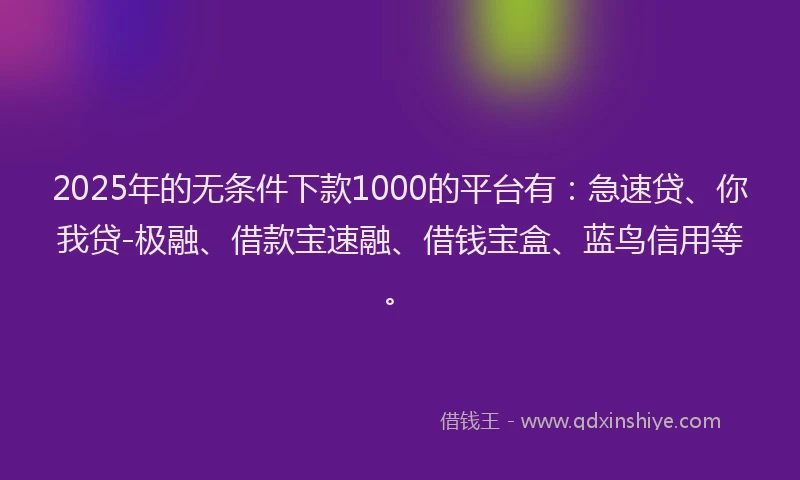 2025年的无条件下款1000的平台有：急速贷、你我贷-极融、借款宝速融、借钱宝盒、蓝鸟信用等。