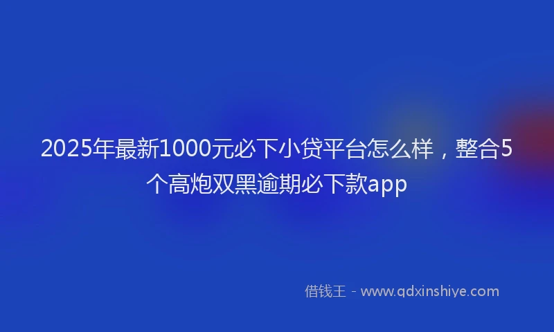 2025年最新1000元必下小贷平台怎么样，整合5个高炮双黑逾期必下款app