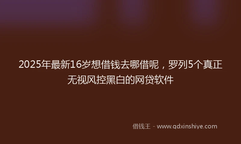 2025年最新16岁想借钱去哪借呢，罗列5个真正无视风控黑白的网贷软件