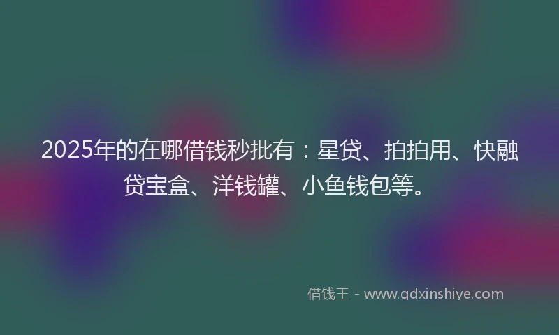 2025年的在哪借钱秒批有：星贷、拍拍用、快融贷宝盒、洋钱罐、小鱼钱包等。