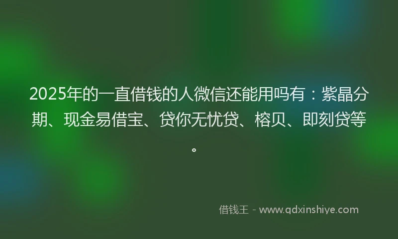 2025年的一直借钱的人微信还能用吗有：紫晶分期、现金易借宝、贷你无忧贷、榕贝、即刻贷等。