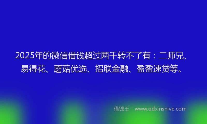 2025年的微信借钱超过两千转不了有：二师兄、易得花、蘑菇优选、招联金融、盈盈速贷等。
