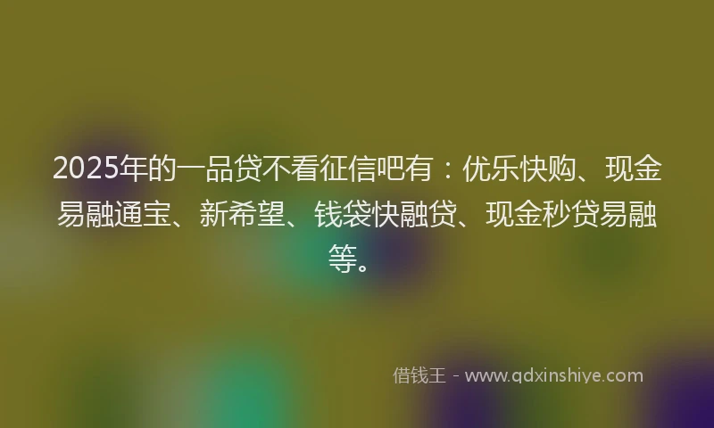 2025年的一品贷不看征信吧有：优乐快购、现金易融通宝、新希望、钱袋快融贷、现金秒贷易融等。