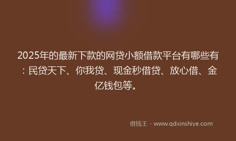 2025年的最新下款的网贷小额借款平台有哪些有：民贷天下、你我贷、现金秒借贷、放心借、金亿钱包等。