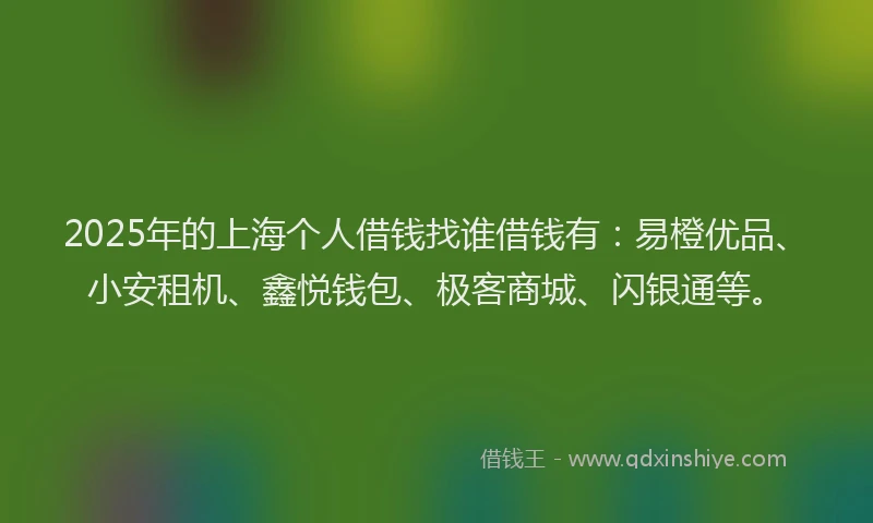 2025年的上海个人借钱找谁借钱有：易橙优品、小安租机、鑫悦钱包、极客商城、闪银通等。