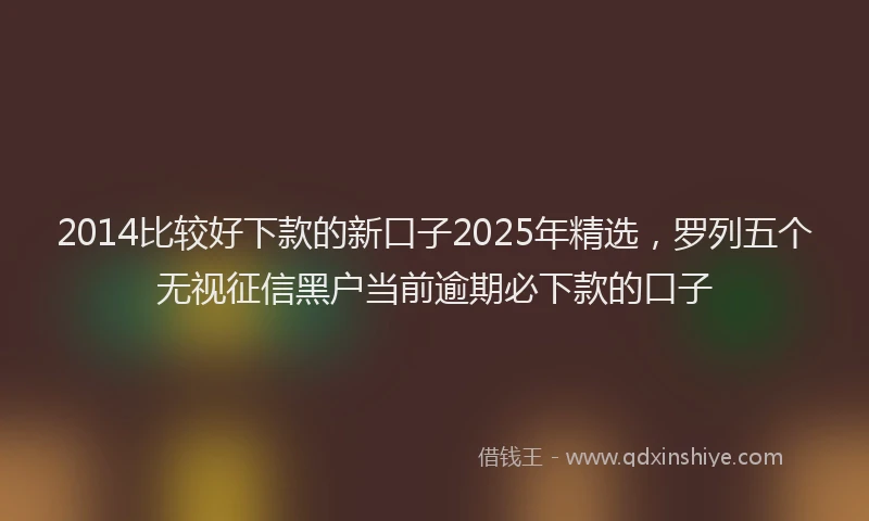 2014比较好下款的新口子2025年精选，罗列五个无视征信黑户当前逾期必下款的口子