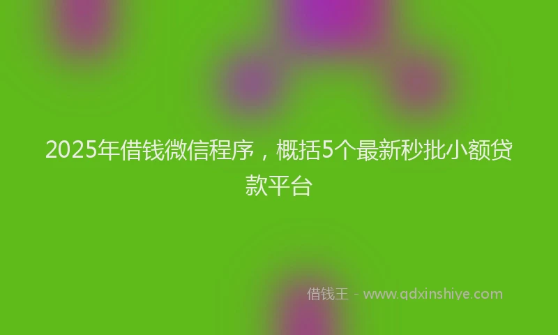 2025年借钱微信程序，概括5个最新秒批小额贷款平台