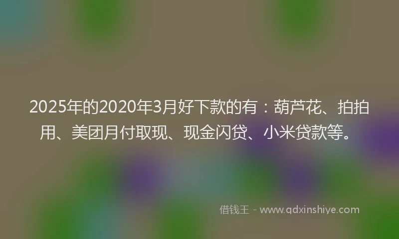 2025年的2020年3月好下款的有：葫芦花、拍拍用、美团月付取现、现金闪贷、小米贷款等。