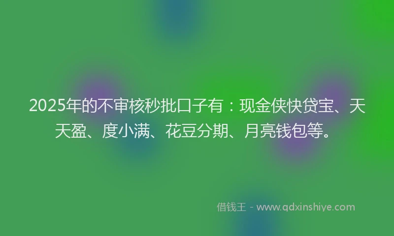 2025年的不审核秒批口子有：现金侠快贷宝、天天盈、度小满、花豆分期、月亮钱包等。