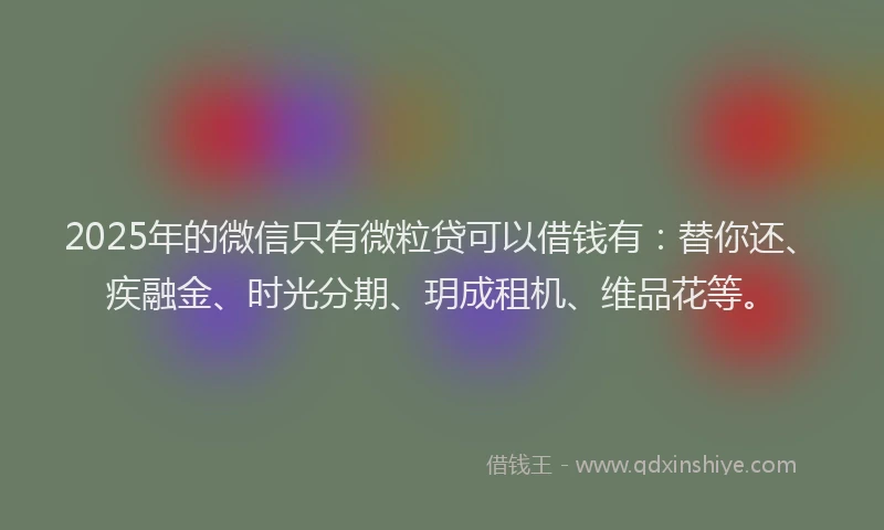 2025年的微信只有微粒贷可以借钱有：替你还、疾融金、时光分期、玥成租机、维品花等。