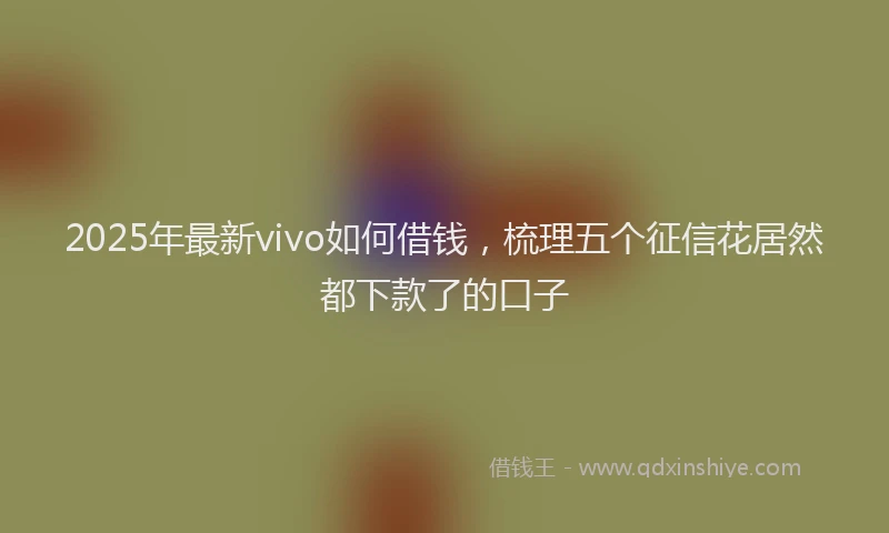 2025年最新vivo如何借钱，梳理五个征信花居然都下款了的口子