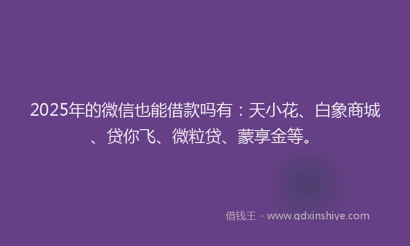 2025年的微信也能借款吗有：天小花、白象商城、贷你飞、微粒贷、蒙享金等。