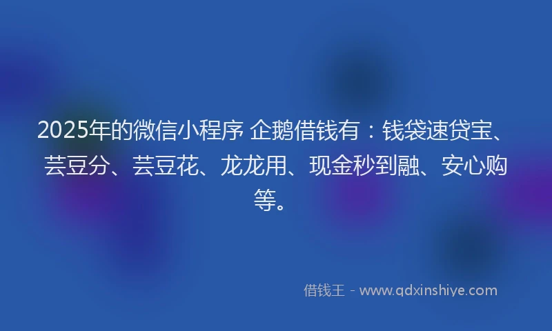 2025年的微信小程序 企鹅借钱有：钱袋速贷宝、芸豆分、芸豆花、龙龙用、现金秒到融、安心购等。