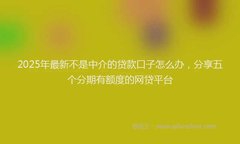 2025年最新不是中介的贷款口子怎么办，分享五个分期有额度的网贷平台