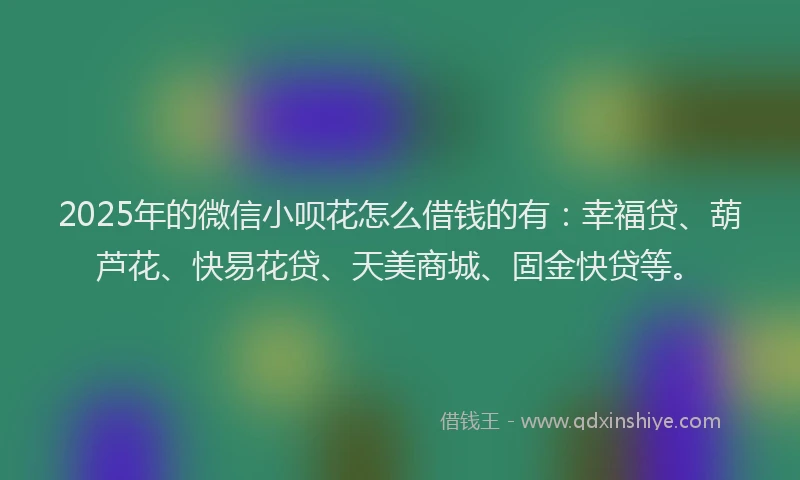 2025年的微信小呗花怎么借钱的有：幸福贷、葫芦花、快易花贷、天美商城、固金快贷等。
