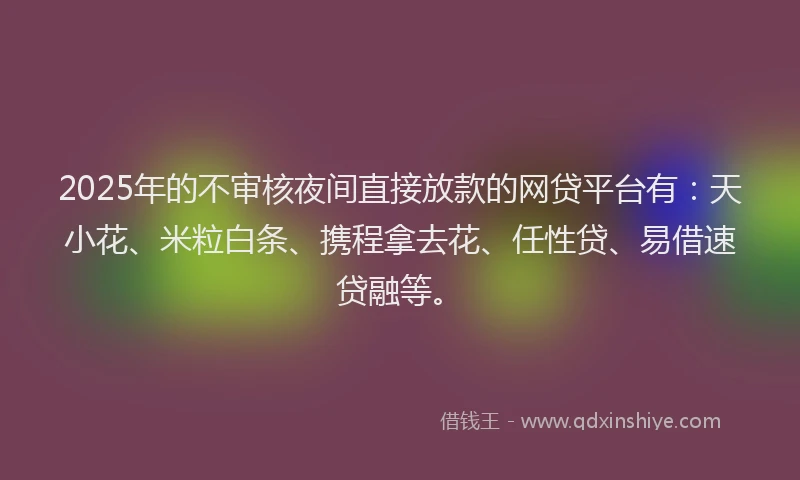 2025年的不审核夜间直接放款的网贷平台有：天小花、米粒白条、携程拿去花、任性贷、易借速贷融等。