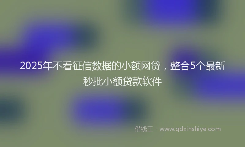 2025年不看征信数据的小额网贷，整合5个最新秒批小额贷款软件